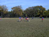 Click to see PA140051.JPG